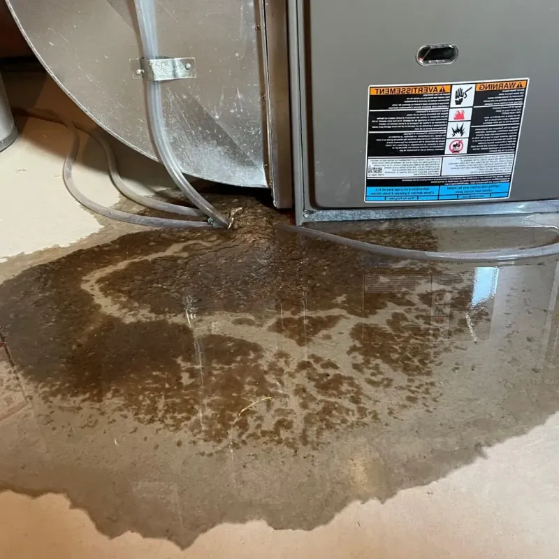 Pipe Burst and Leak Restoration in Stanley County, SD